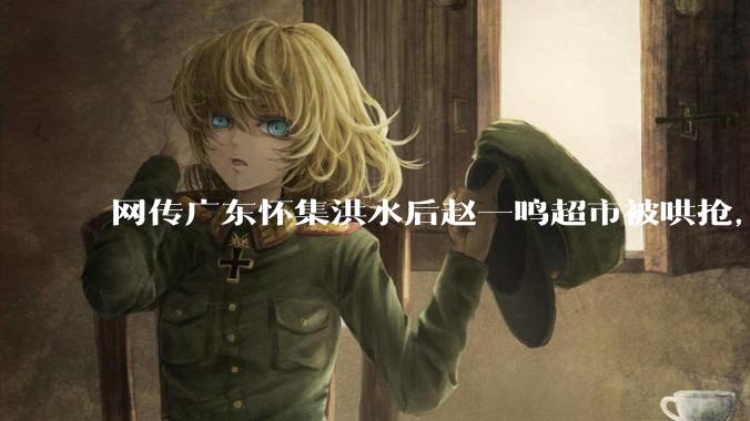 网传广东怀集洪水后赵一鸣超市被哄抢，县***回应相关单位正在核实，若属实哄抢者该承担哪些法律责任？